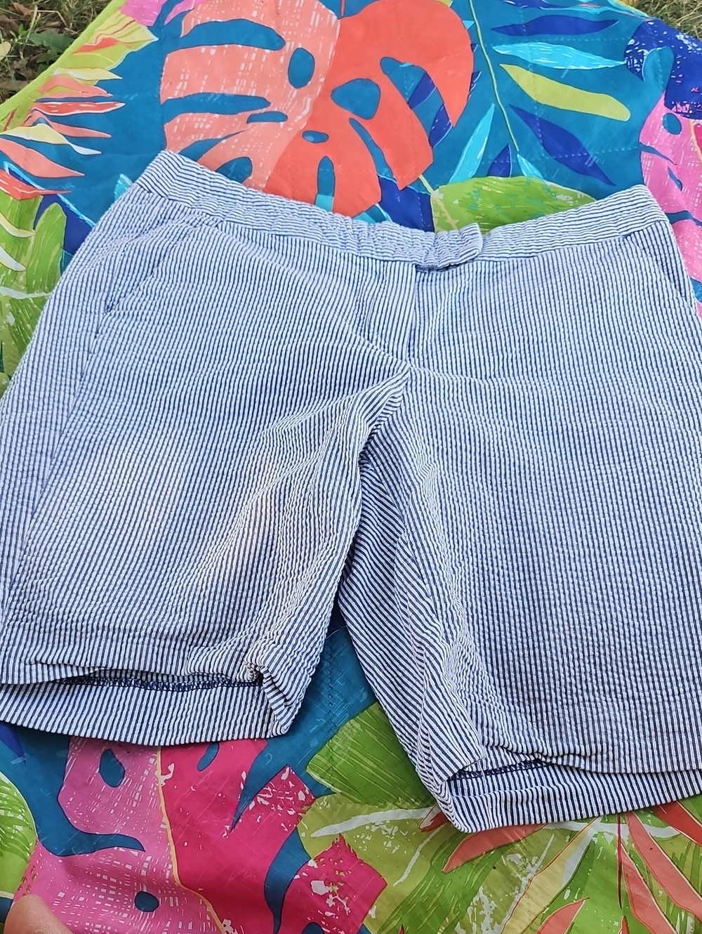 British Khaki Blue and White Seersucker Flat Front Shorts